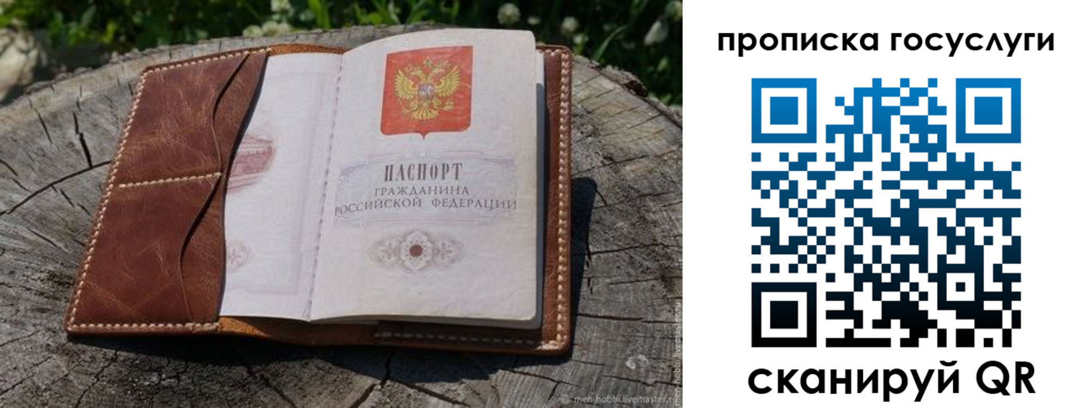 прописка для школы в Киржаче